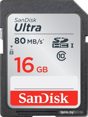 Карта памяти SanDisk SDHC (Class 10) 16GB [SDSDUNC-016G-GN6IN] 