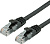 Кабель Cablexpert PP6-2M/BK 