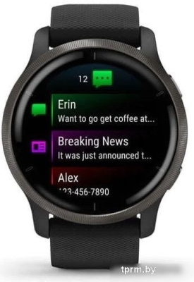 Garmin Venu 2 (сланцевая нержавеющая сталь/черный) 