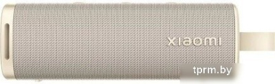 Xiaomi Sound Outdoor (золотистый, международная версия) 