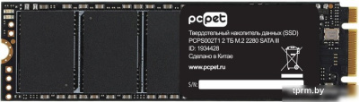 SSD PC Pet 2TB PCPS002T1 
