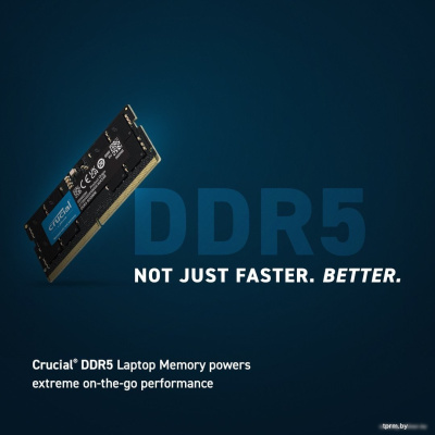 Оперативная память Crucial 32ГБ DDR5 SODIMM 5600 МГц CT32G56C46S5T 