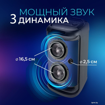 Беспроводная колонка Ginzzu GM-117 