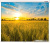 Lumien Eco Picture 206x274 LEP-100115 