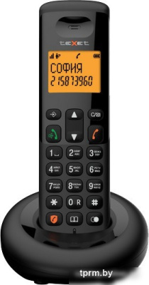 Радиотелефон TeXet TX-D4905A (черный) 