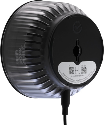 Умная колонка Sber SberBoom Mini 2 (квантовый черный) 