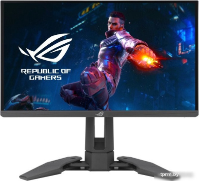 Игровой монитор ASUS ROG Swift Pro PG248QP 