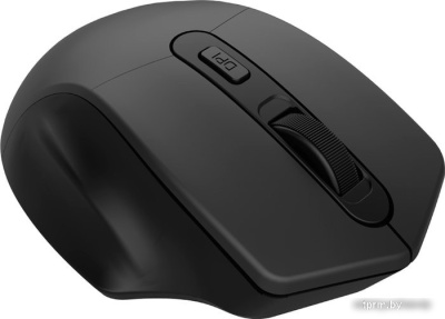 Мышь Canyon MW-15 (черный) 