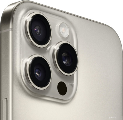 Смартфон Apple iPhone 16 Pro Max 256GB (природный титан) 