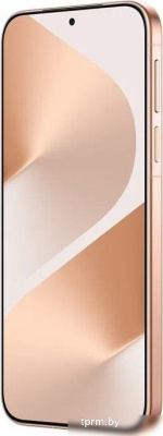 Телефон Huawei Pura 80 HED-LX9 12GB/256GB (золотой) 