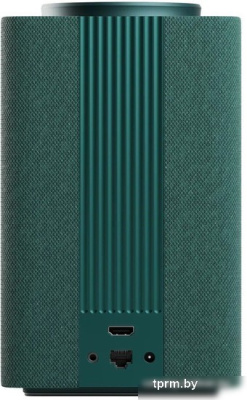 Умная колонка Яндекс Станция Макс (с хабом умного дома Zigbee, зеленый) 