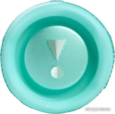 Беспроводная колонка JBL Flip 6 (бирюзовый) 