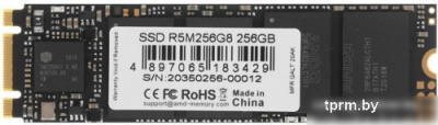 SSD AMD Radeon R5 256GB R5M256G8 