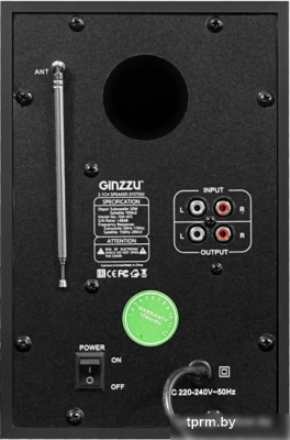Акустика Ginzzu GM-405 