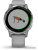 Умные часы Garmin Vivoactive 4s (серый/серебристый) 