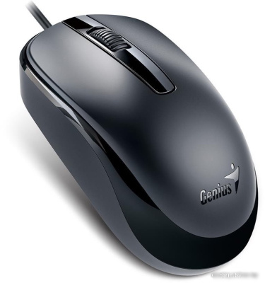 Мышь Genius DX-120 (черный) 