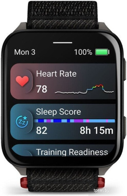 Garmin Venu X1 (титановый/черный) 