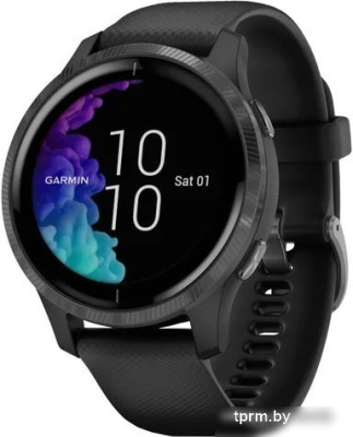 Умные часы Garmin Venu (черный/серый) 