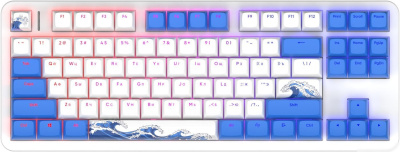 Red Square Alumix TKL Aquarius v2 (g3ms Sapphire) 