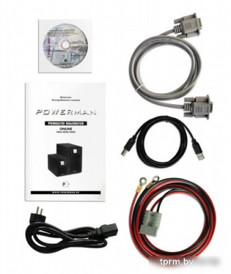 Источник бесперебойного питания Powerman Online 1000 Plus 