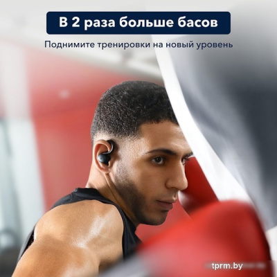 Наушники Anker SoundCore Sport X10 (черный) 