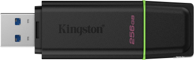 Kingston DataTraveler Exodia 256GB DTXG2/256GB 
