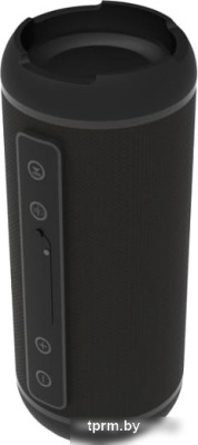 Ritmix SP-320B 
