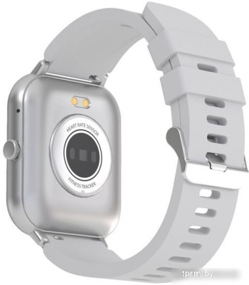 Maxvi SW-02 (серый) 