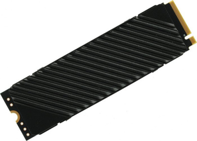 SSD Digma Top G3 1TB DGST4001TG33T 