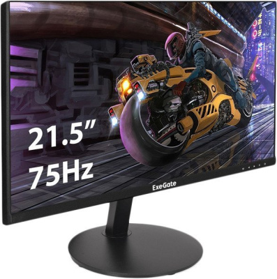 Монитор ExeGate SmartView EP2207A EX295590RUS 
