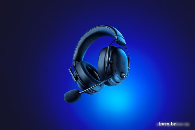 Razer Blackshark V2 Hyperspeed (черный) 