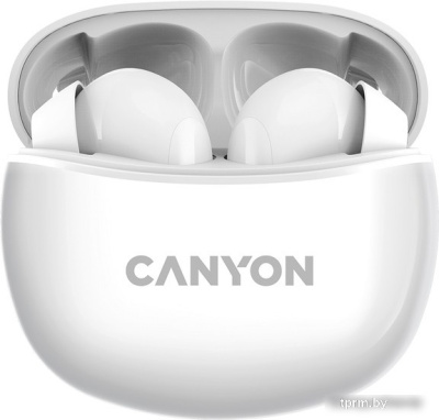 Наушники Canyon CNS-TWS5W 