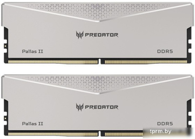 Оперативная память Acer Predator Pallas II 2x32ГБ DDR5 6400 МГц BL.9BWWR.377 