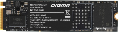Digma Mega M2 256GB DGSM3256GM23T 