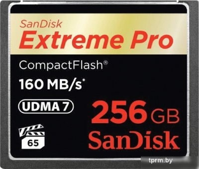 Карта памяти SanDisk Extreme Pro CompactFlash 256GB [SDCFXPS-256G-X46] 
