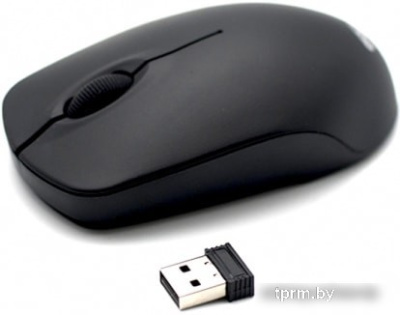 Мышь Ritmix RMW-506 