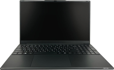 Ноутбук Hiper Workbook FWBC151-I312UR08N2FABWPG 