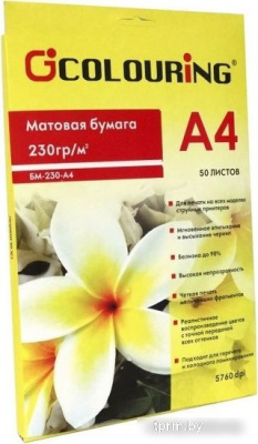 Colouring CG-MP-230-A4-50 