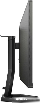 Игровой монитор Philips Evnia Gaming 27M1N3200ZS/01 