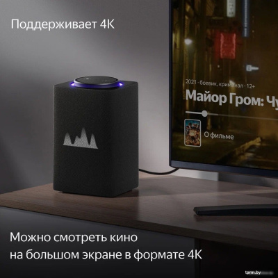 Яндекс Станция Макс (с хабом умного дома Zigbee, графит) 
