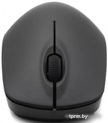 Мышь Ritmix RMW-506 