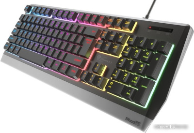 Клавиатура Genesis Rhod 300 RGB 