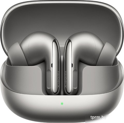 Наушники Xiaomi Buds 5 Pro M2437E1 (титановый, международная версия) 