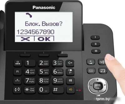 Panasonic KX-TGF310RUM 