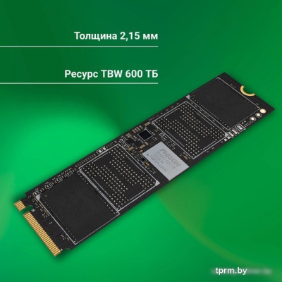 Digma Meta P21 1TB DGSM4001TP21T 