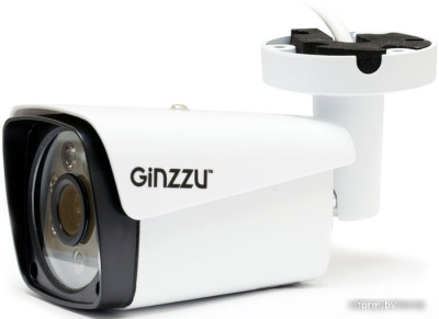 IP-камера Ginzzu HIB-5303A 