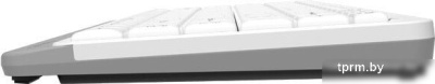 Клавиатура A4Tech Fstyler FK11 (белый) 