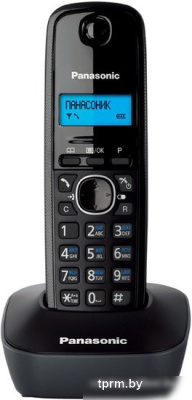 Радиотелефон Panasonic KX-TG1611RUH 