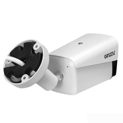 IP-камера Ginzzu HIB-4301A 