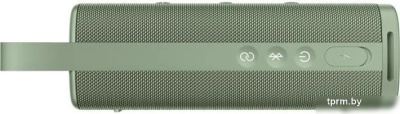 Xiaomi Sound Outdoor (зеленый, международная версия) 